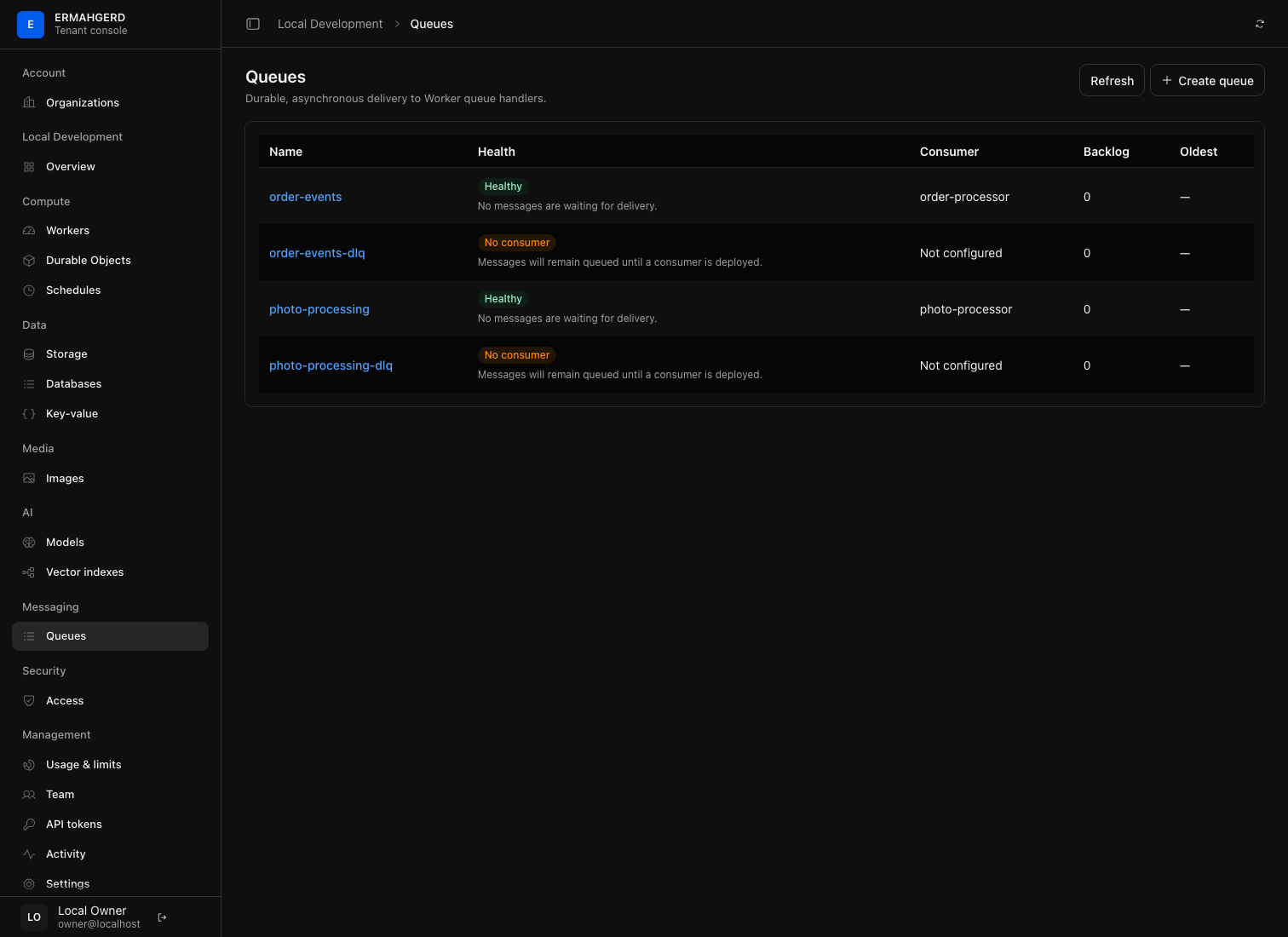 Organization queue inventory and delivery-state summary